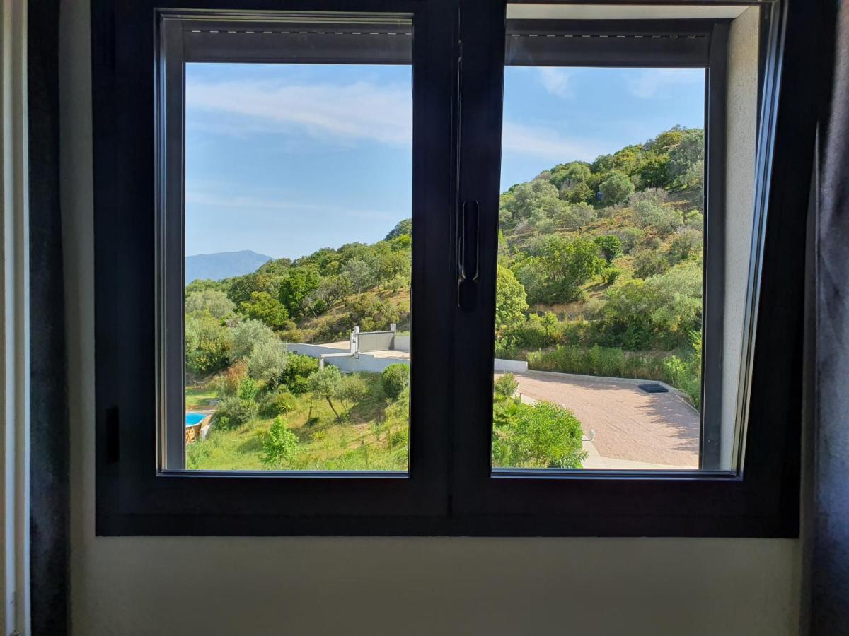 Appartement F2 Avec Terrasse De 35 M2 Bomorto - Porticcio 波尔蒂乔 外观 照片