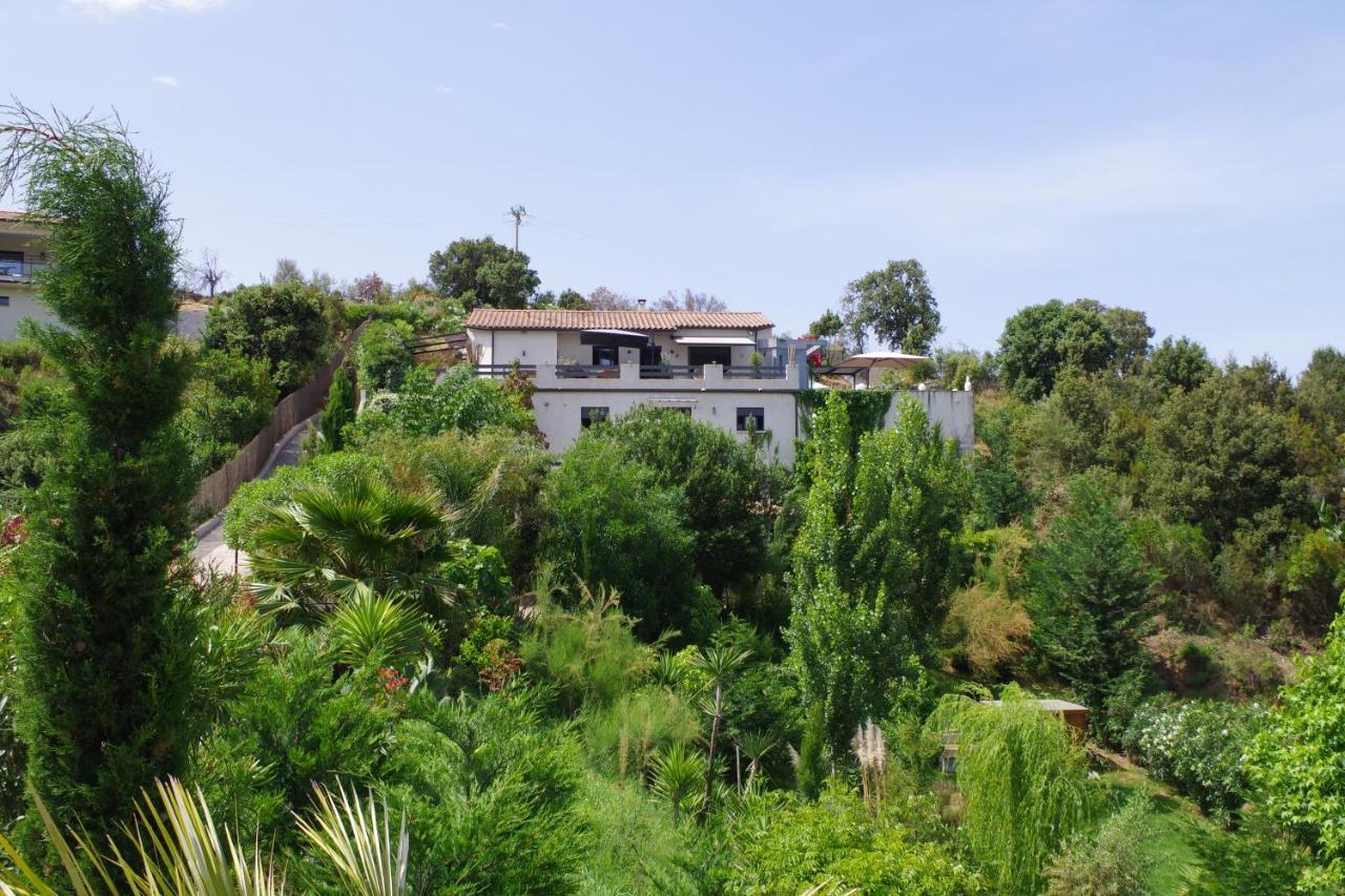Appartement F2 Avec Terrasse De 35 M2 Bomorto - Porticcio 波尔蒂乔 外观 照片